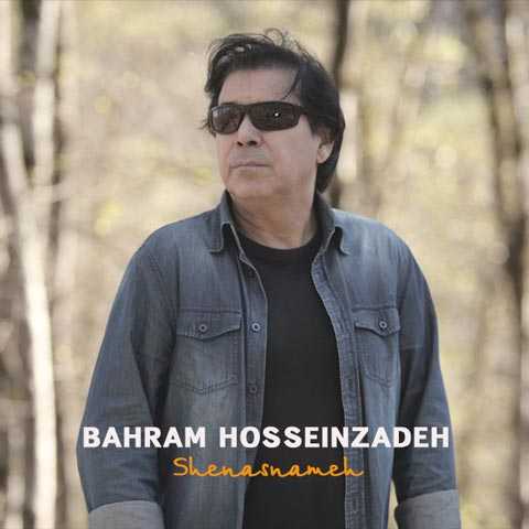 Bahram Hosseinzadeh Shenasnameh